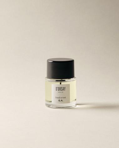 / ダンディ オア ノット G.A. / 50ml