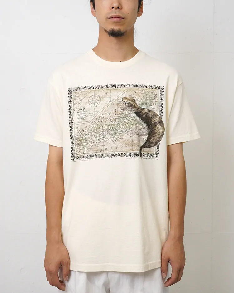 NICENESS / D.BERNARD / TSUCHINOKO
